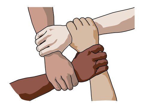 PALMS Foundation Logo